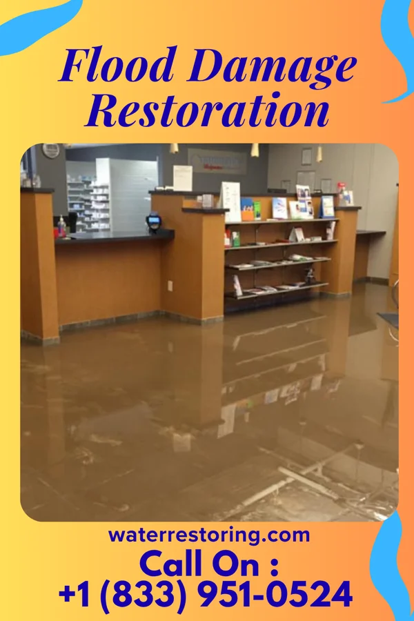 Flood Damage Restoration in Valdosta, GA
