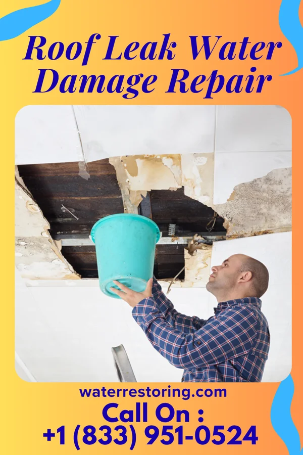 Roof Leak Water Damage Repair in Valdosta, GA