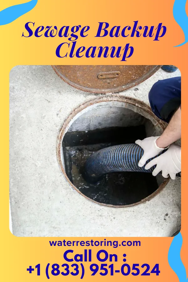 Sewage Backup Cleanup in Valdosta, GA